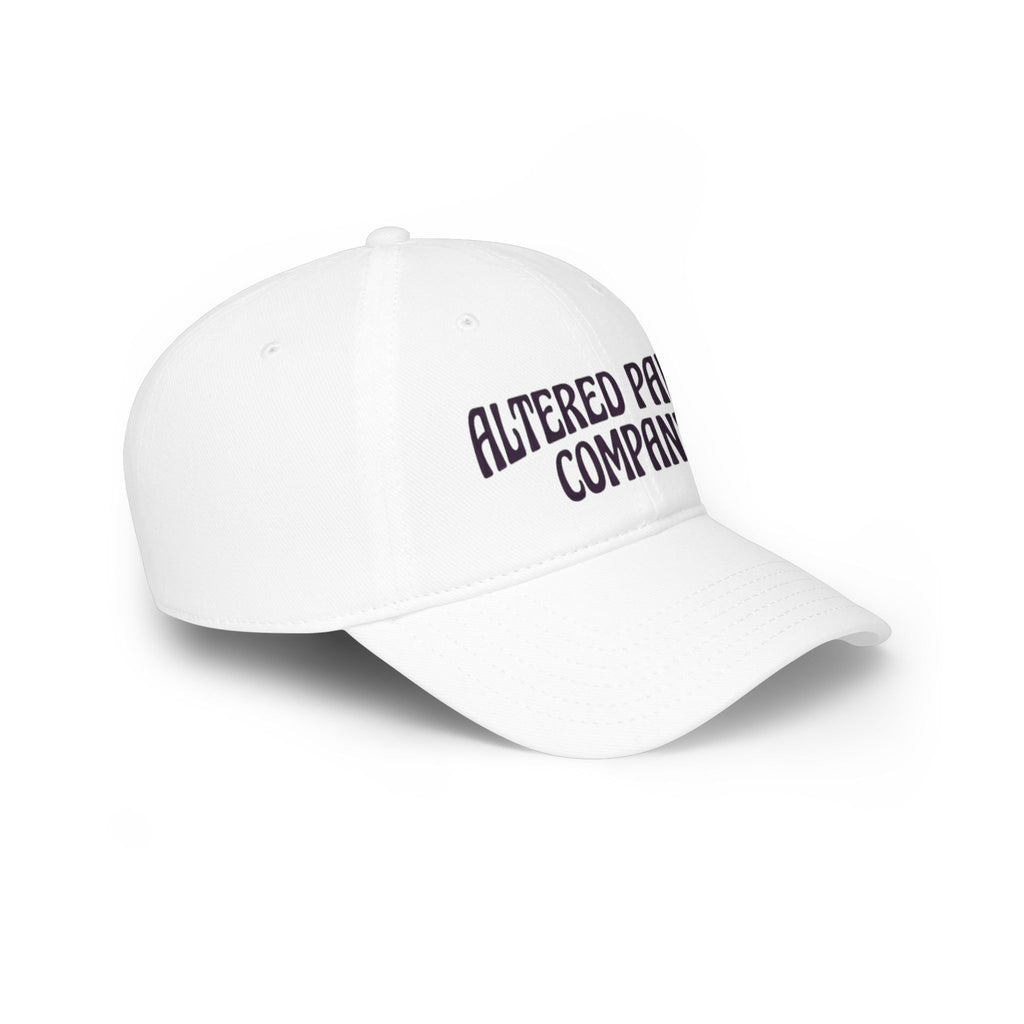 Altered Paints Company Baseball Cap