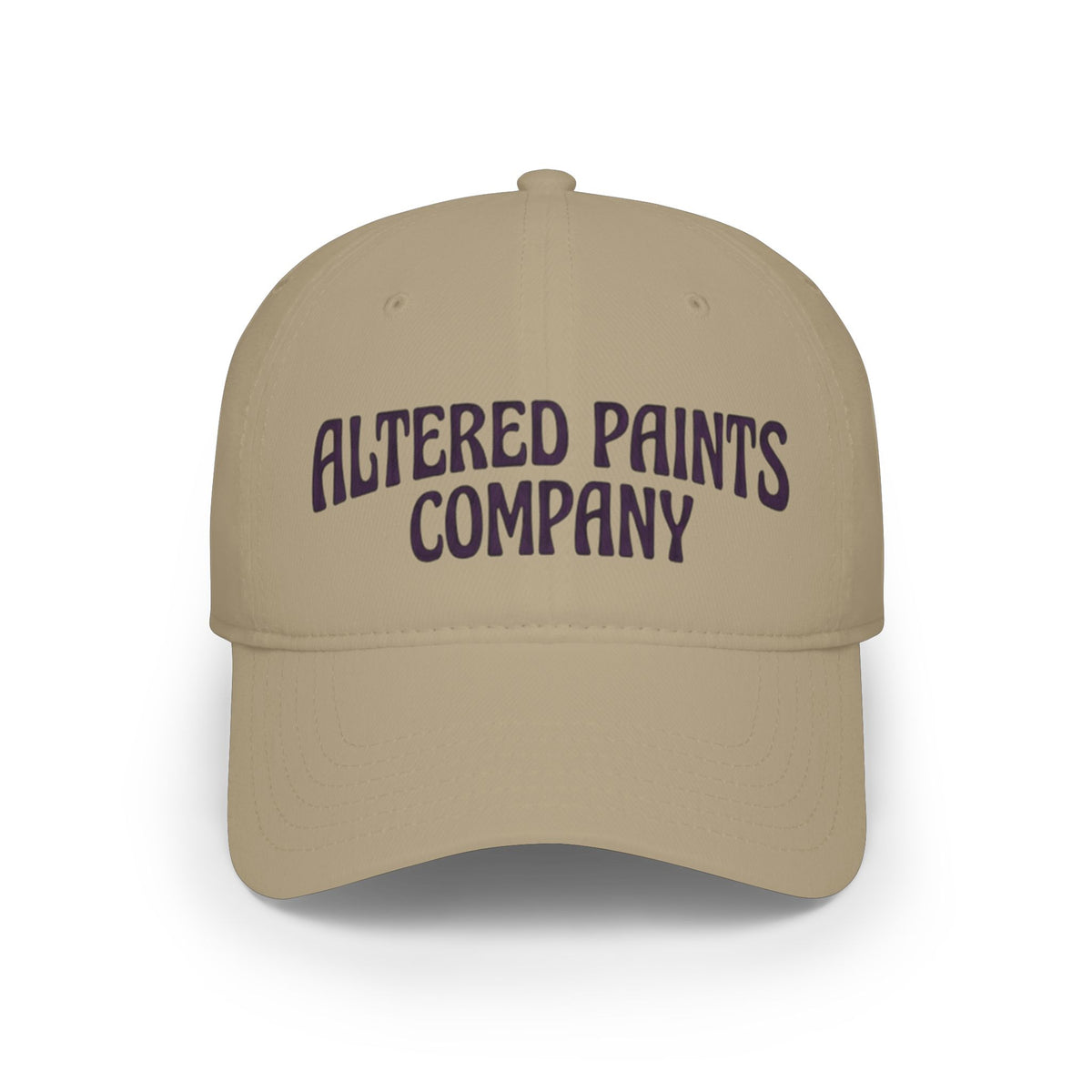Altered Paints Company Baseball Cap
