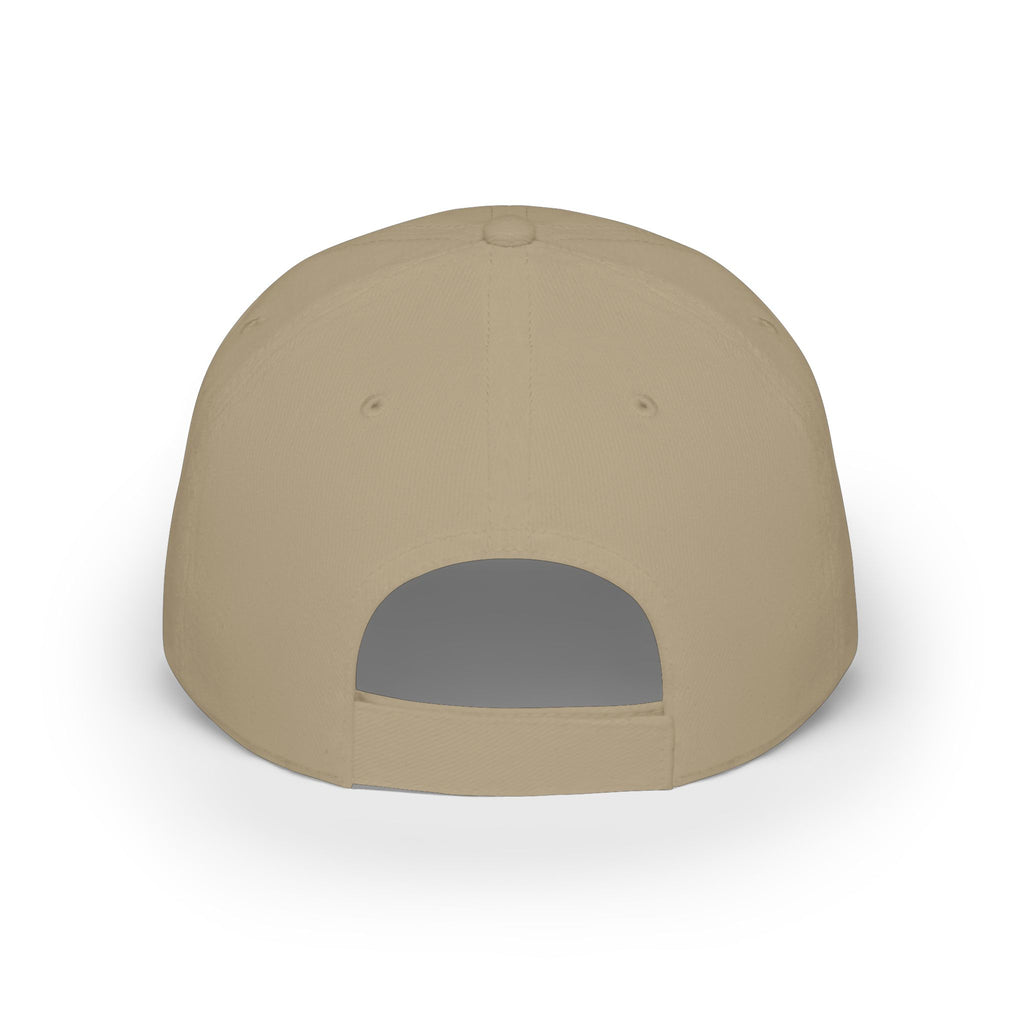 Altered Paints Company Baseball Cap