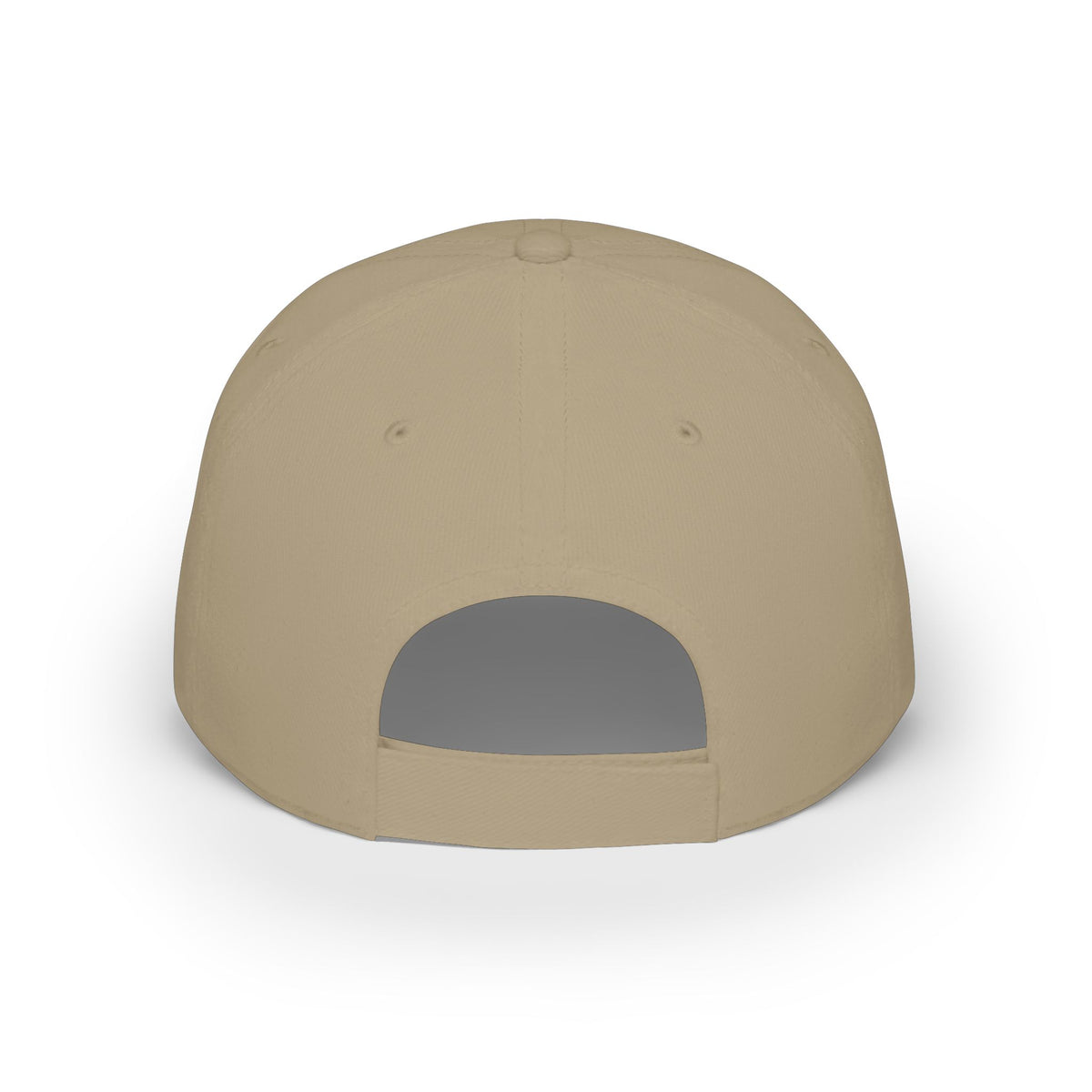 Altered Paints Company Baseball Cap