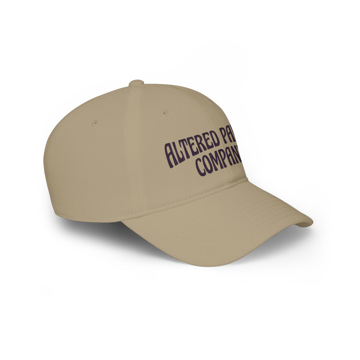Altered Paints Company Baseball Cap