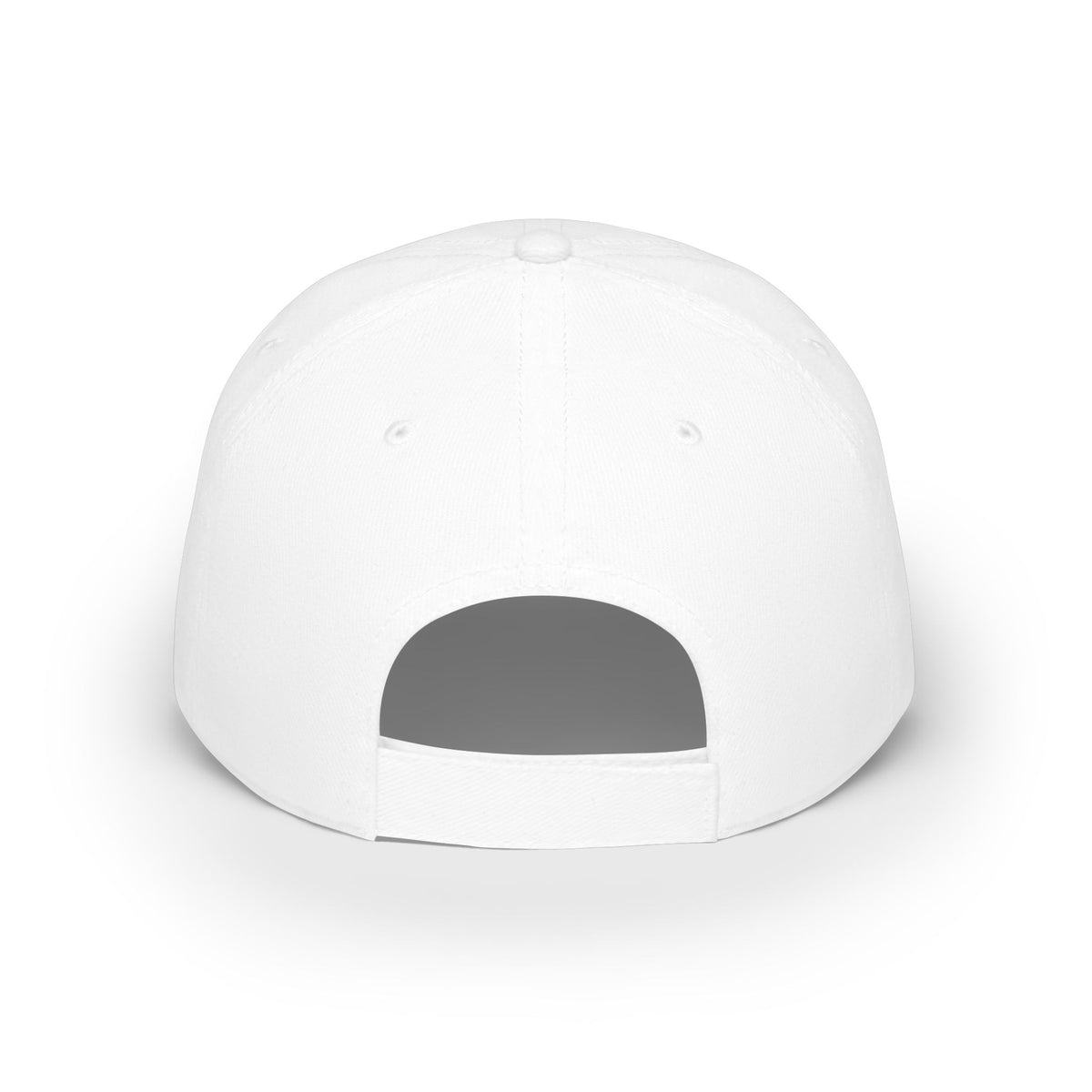 Altered Paints Company Baseball Cap